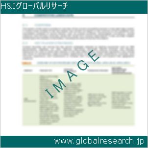 グローバルリサーチ調査レポートのイメージ